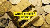 gold price outlook 2024 Gold rates may touch rs 70000 per 10 gm in 2024