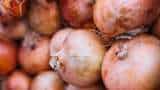 government to review ban on onion export after retail prices ease in domestic markets