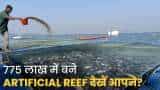 Pradhan Mantri Matsya Sampada Yojana: Gujrat में 775 लाख की लागत से बने 25 Artificial Reef