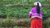Organic Farming PM Narendra Modi praises Mizo organic farmer for increasing his income more than 7 times