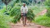 IMD to start Panchayat-level weather forecast from next week IMD chief Mohapatra see how it beneficial to indian farmers