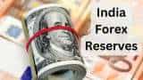 India Foreign exchange reserves dips by approx 6 billion dollar to 617 billion dollar says RBI