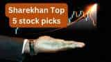 Sharekhan top 5 long term stock picks investors can get up to 50 pc return check targets