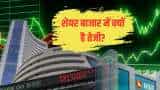 why stock market is up today sensex surges 1100 points nifty crosses 21700 level check key factors 