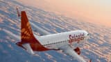 SpiceJet raises Rs 900 crore funding to focus on fleet upgradation cost cutting spicejet share price rising