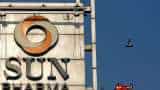 Sun Pharma Q3 results profit jumps 2520 crore pharma company announces 850 pc dividend check record date