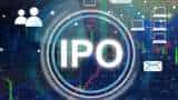 upcoming ipo 2024 Park Hotels IPO Company raises Rs 409 crore via anchor allotment