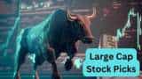 Stocks to buy Antique top 7 large cap stock picks after Budget investors can get up to 36 pc return check targets 
