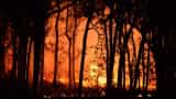 Forest fire spreads in densely populated area in Chile 112 people died 1600 people homeless 200 people missing
