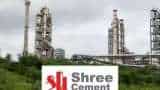 IT department caught a case of tax evasion of rs 8500 crore against Shree Cement sharp down 5 pc