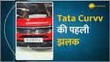 भारत मोबिलिटी ऑटो एक्सपो 2024 में दिखा Tata का दम, कंपनी ने पेश की पहली कूपे एसयूवी Tata Curvv
