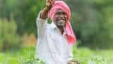 chhattisgarh budget 2024 farmers to get free electricity for irrigation landless labourers to get annual assistance of Rs 10000
