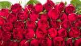 Valentine's Day: Nepal import more than 3 lakh roses from india