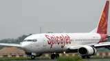SpiceJet Ajay Singh and Busy Bee Airways Private Limited Submit Bid for GoFirst
