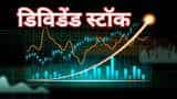 Dividend Stocks Schaeffler India Results net profit down announces rs 1300 percent dividend to shareholders