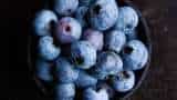 India cuts import duty on blueberries turkeys fully exempts extra long staple cotton from levy