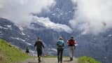 Best Trekking places for visit in march know where you can go for trekking with family and friends what to eat