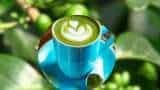 Green Coffee Benefits You must have heard a lot about the benefits of green tea  do you know the benefits of green coffee know details