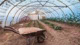 good news bihar govt giving subsidy on polyhouse and shade net farming to farmers