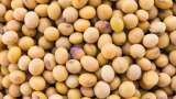 Yellow peas import allowed after registration under monitoring system DGFT