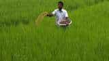 Cabinet Approves Fertilizer Subsidy worth rupees 24 thousand crores see major decisions 