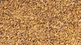 Govt lifts export ban on rice husk DORB SEA