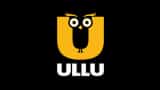 Child Rights Protection Commission demanded action on Ullu App said Ullu App is having a bad effect on school children