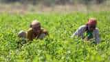 Uttar Pradesh CM Yogi Adityanath announces compensation for farmers who lost crops to heavy rain 