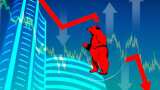 Stock Market Crash Investors Loss around 21 lakh Crore Midcap Smallcap share Bubble check more details 
