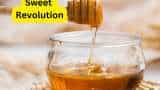 honey testing lab in ranchi jharkhand sweet revolution