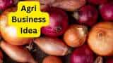 Agri Business Idea start onion storage unit and ger rs 450000 subsidy from bihar govt know details