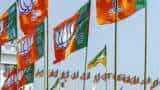 BJP Foundation Day BJP will celebrate sthapna diwas before lok sabha elections special programs at more than 10 lakh booths