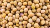 Govt extends free import duty regime on yellow peas till June