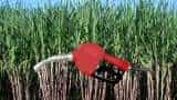 government to allow additional sugar for ethanol production know details