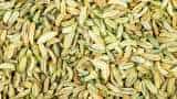 Fennel Seed Cultivation farmers to earn rs 1 lakh by saunf ki kheti know details