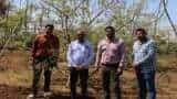 success story Drumstick Cultivation Gujarat Poor Farmer into a Millionaire now earns rs 20 lakh yearly