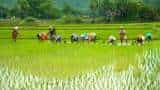 Good news for farmers of Telangana before lok sabha elections Telangana CM promises to give a bonus of Rs 500 on paddy along with farm loan waiver up to Rs 2 lakh