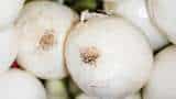 good news for farmers Government allows exports of specified quantity of white onion via three ports