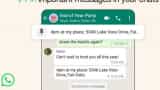 WhatsApp bring new pin for Important messages know how to pin message in group chat here are the steps