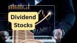Dividend Stock Gallantt Ispat announces final dividend posts Rs 95 crore profit in Q4FY24 stock jumps 500 pc in 1 year