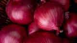 Govt lifts onion export ban imposes minimum export price of 550 dollar per tonne
