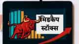 Midcap stocks to buy for high return 2024 vikas sethi picks 3 stocks share india securities d link anant raj check target price
