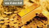 Gold rate today 10th May 2024 on Akshaya tritiya MCX gold price rise to Rs 1500 per 10 gram