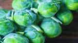farming tips Brussels sprout farming farmers to get more profit know all details