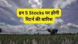 Stocks to Buy imd monsoon fertiliser sector gnfc gsfc rcf nfl madras fertilisers check target price and expected return