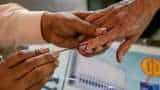 Haryana Lok Sabha Election 2024 Winner List updates vote counting eci general elections 10 constituencies chunav result wining candidates bjp congress
