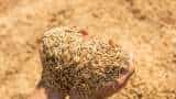 good news for farmers Tripura govt to procure 15000 MT paddy at MSP this Rabi season