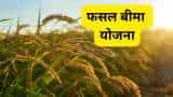 pm fasal bima yojana Crop Insurance Week starts from 1 july 2024 Kharif crops insurance know all details