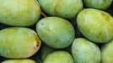 malda mango Exports from west bengal Malda district Fail as Domestic Market Thrives