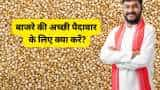 Bajra Cultivation rajasthan agri department gives tip of seed treatment to farmers know all details